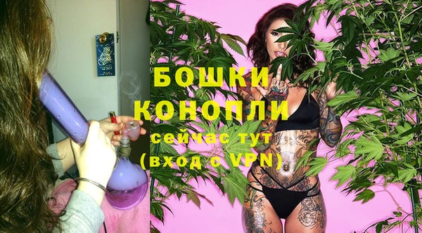 ПСИЛОЦИБИНОВЫЕ ГРИБЫ Лиски