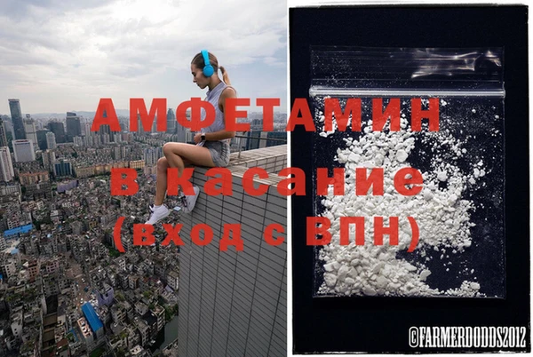 ПСИЛОЦИБИНОВЫЕ ГРИБЫ Лиски