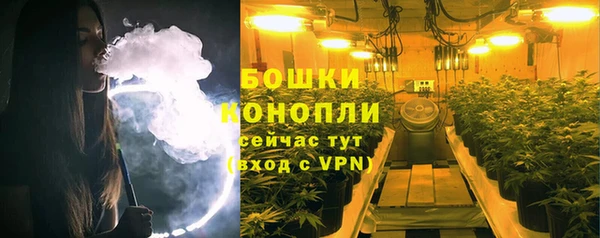 ПСИЛОЦИБИНОВЫЕ ГРИБЫ Лиски
