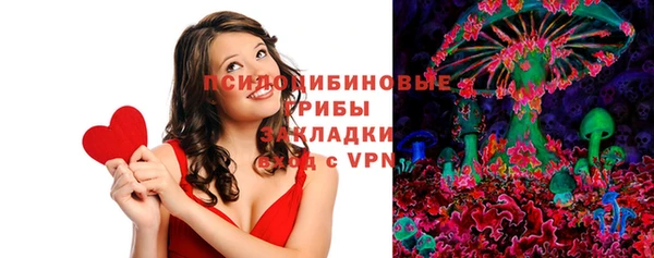 ПСИЛОЦИБИНОВЫЕ ГРИБЫ Лиски