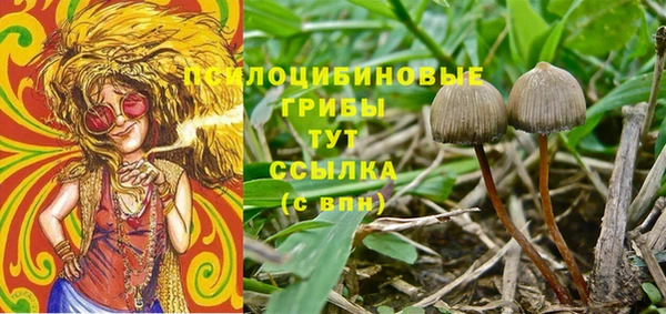 бутират Липки